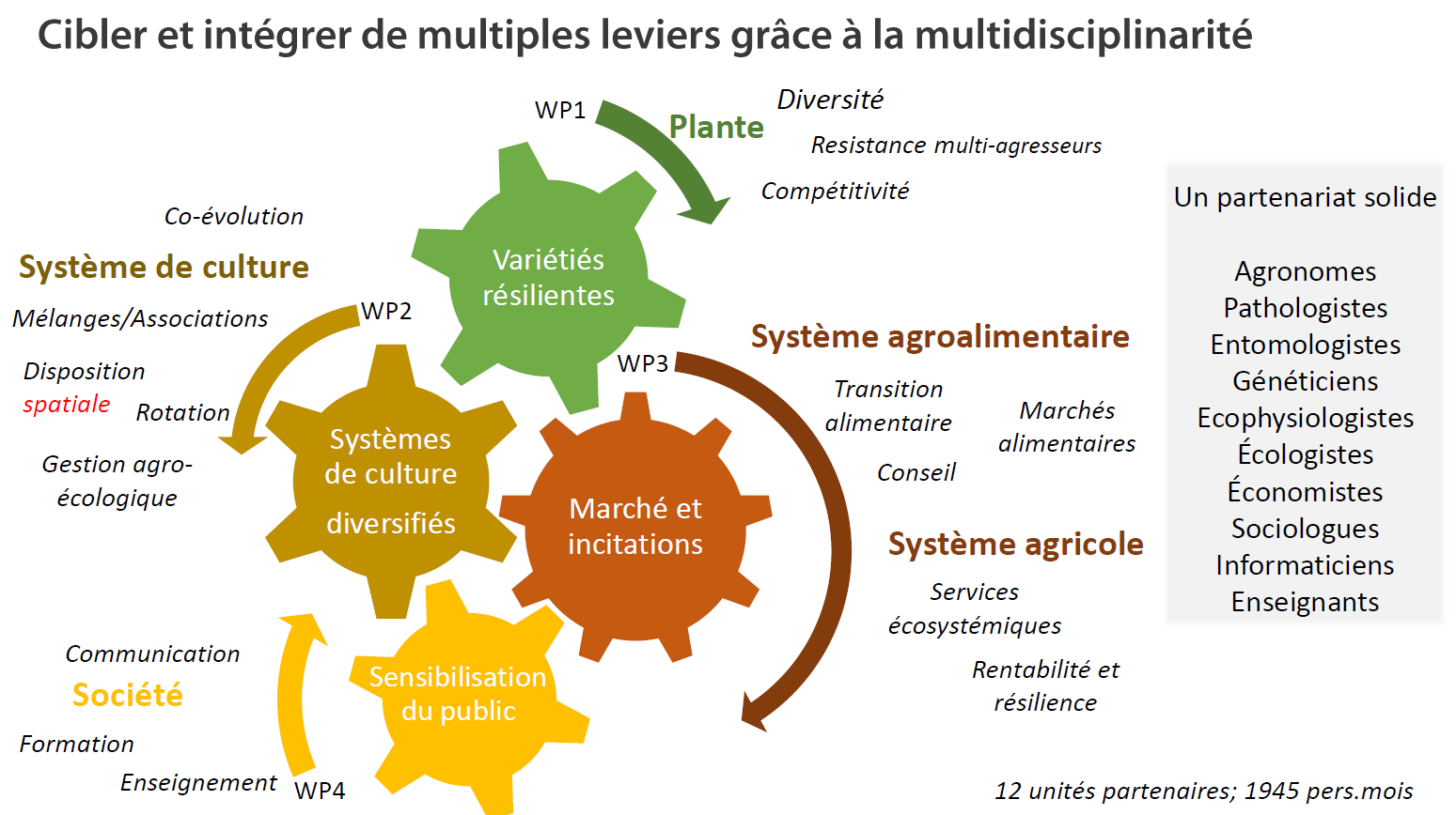 schema WP Specifics FR